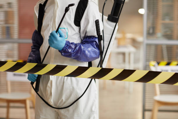 Professional Sewage Cleanup technician working in Stanwood, WA